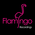 Fedde le Grand presents Flamingo nights