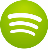 Kwart van de Nederlandse muziekomzet afkomstig uit Spotify