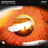 Lucas & Steve lanceren nieuwe single 'Why Can't You See'
