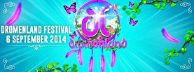 Dromenland Festival