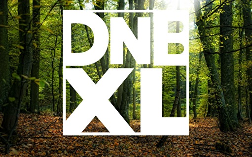 Dnb XL