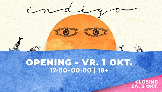 Indigo Opening