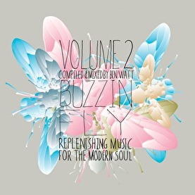 Buzzin’ Fly Vol.2: Replenishing Music For The Modern Soul