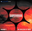 Captivating Sounds - The Collected 12" Mixes Volume 2