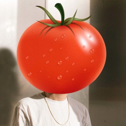 Tomatenplukker Jan
