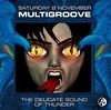 Multigroove `The Delicate Sound of Thunder`