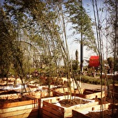 NDSM-werf maakt bamboebos
