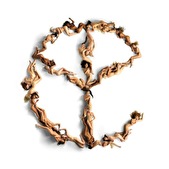 Yellow Claw op #1 in Amerikaanse album charts