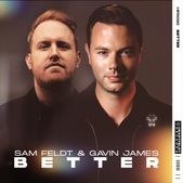 Sam Feldt brengt samen met Gavin James nieuwe single Better uit