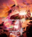 Bloomingdale 2007 CD Release Party