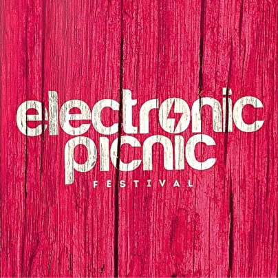 Electronic Picnic