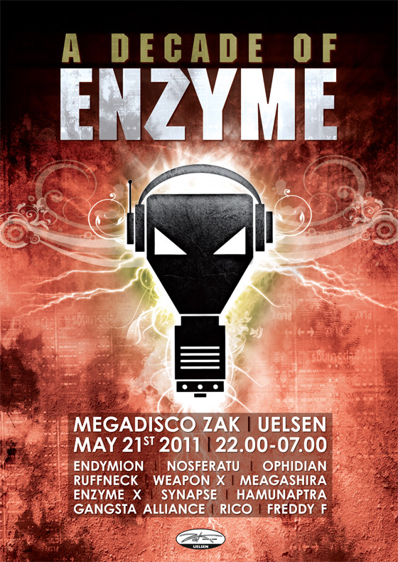 A decade of Enzyme