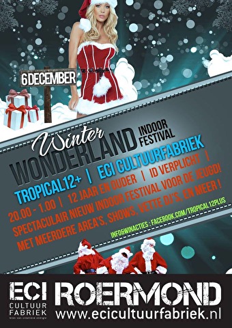 Winter wonderland Indoor Festival