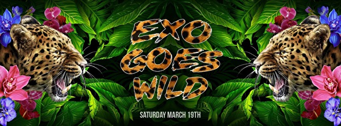Exo Goes Wild