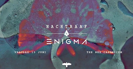 Nachtraaf × Enigma