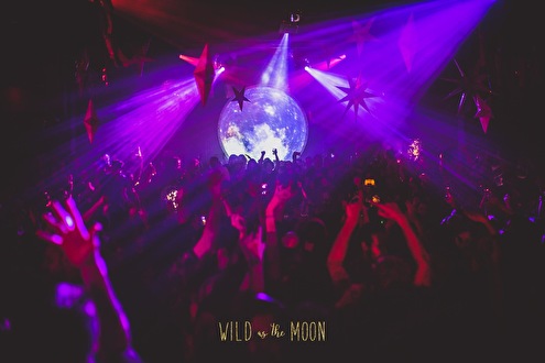 Wild as the Moon