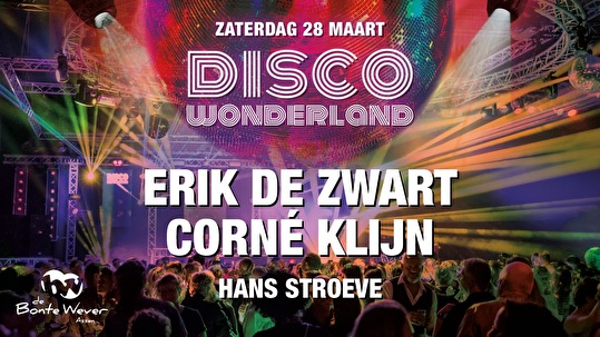 Disco Wonderland