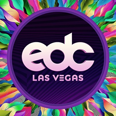 flyer Electric Daisy Carnival