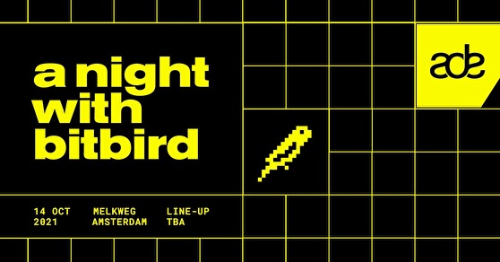 A night with bitbird