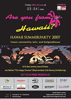 Hawaii summer party
