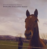 Bosconi Soundsystem - Bosconi Stallions Mixed